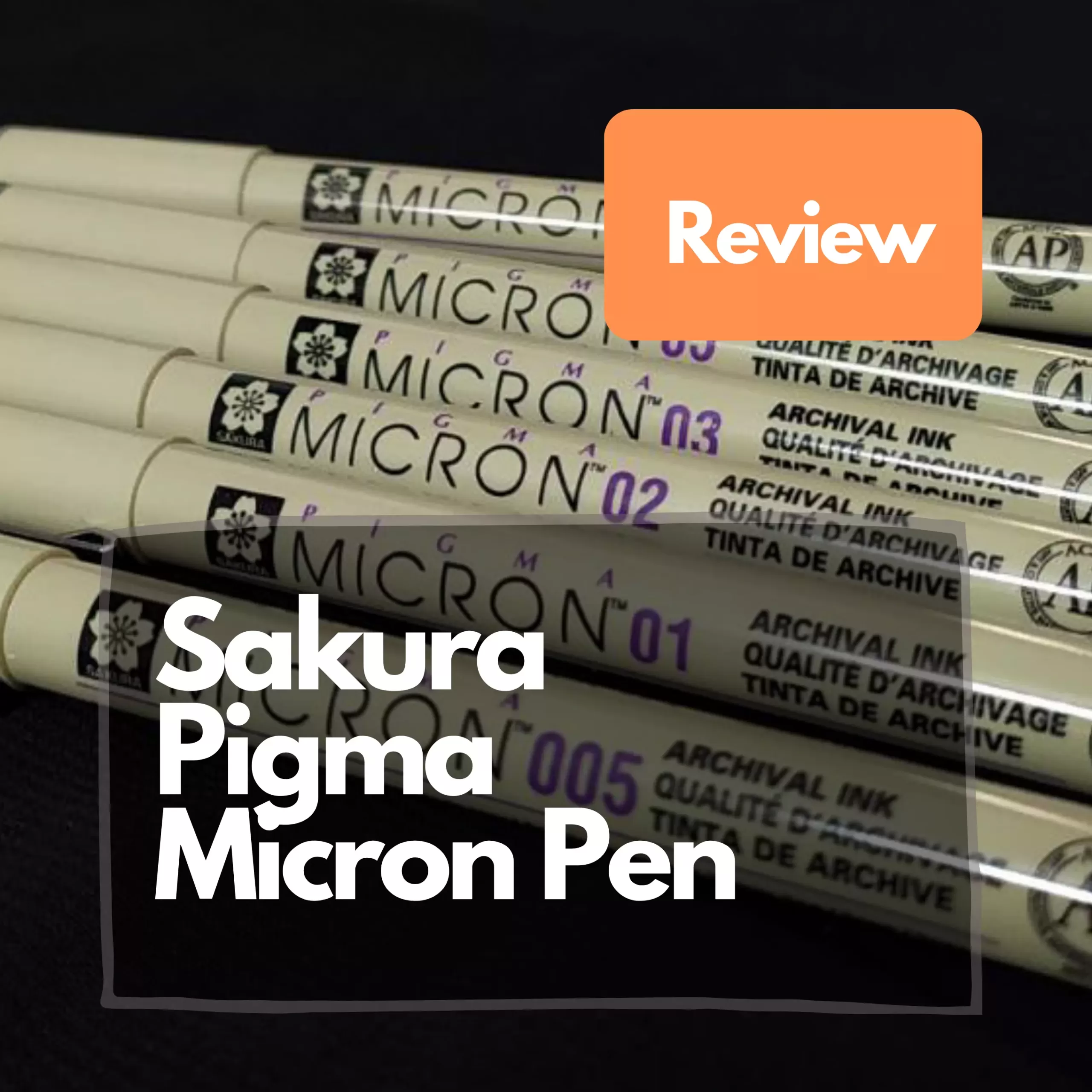 10 Sakura Pigma Micron Pens Tip Size 005 (0.20mm Line Width: 8 Ink Colors to Choose From: Drawing, Sketching, Cwriting (Rose Ink)